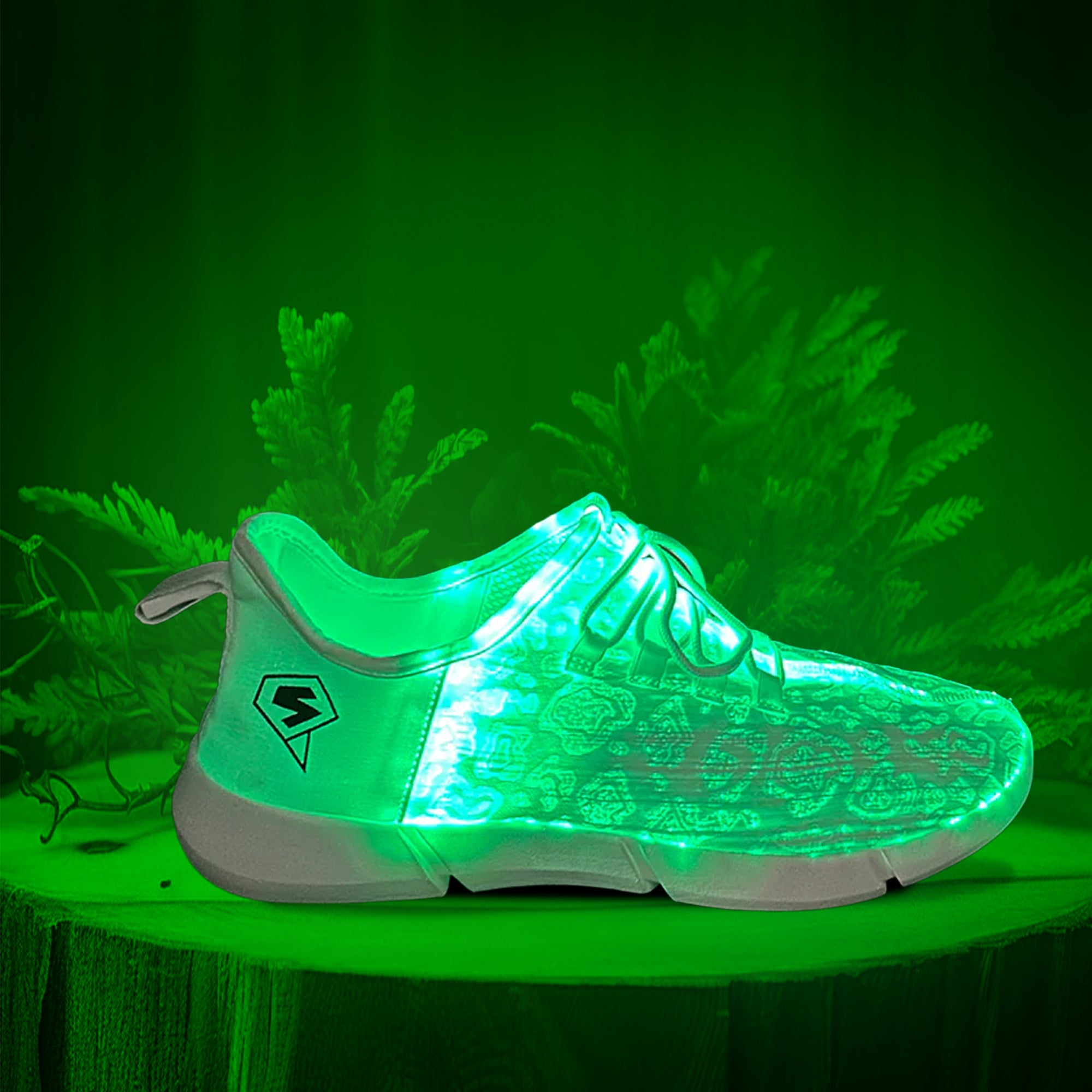 LED Shoes