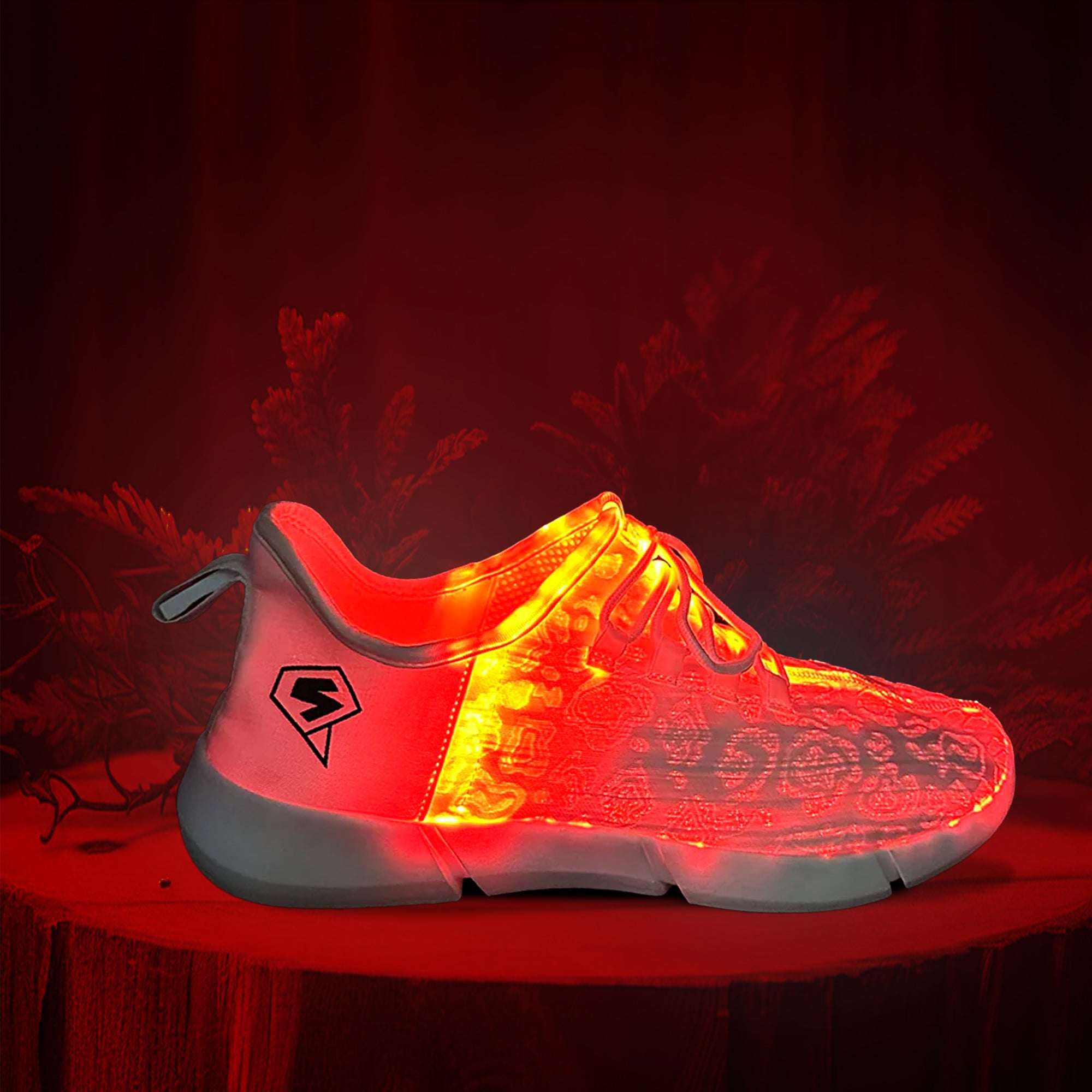 LED Shoes
