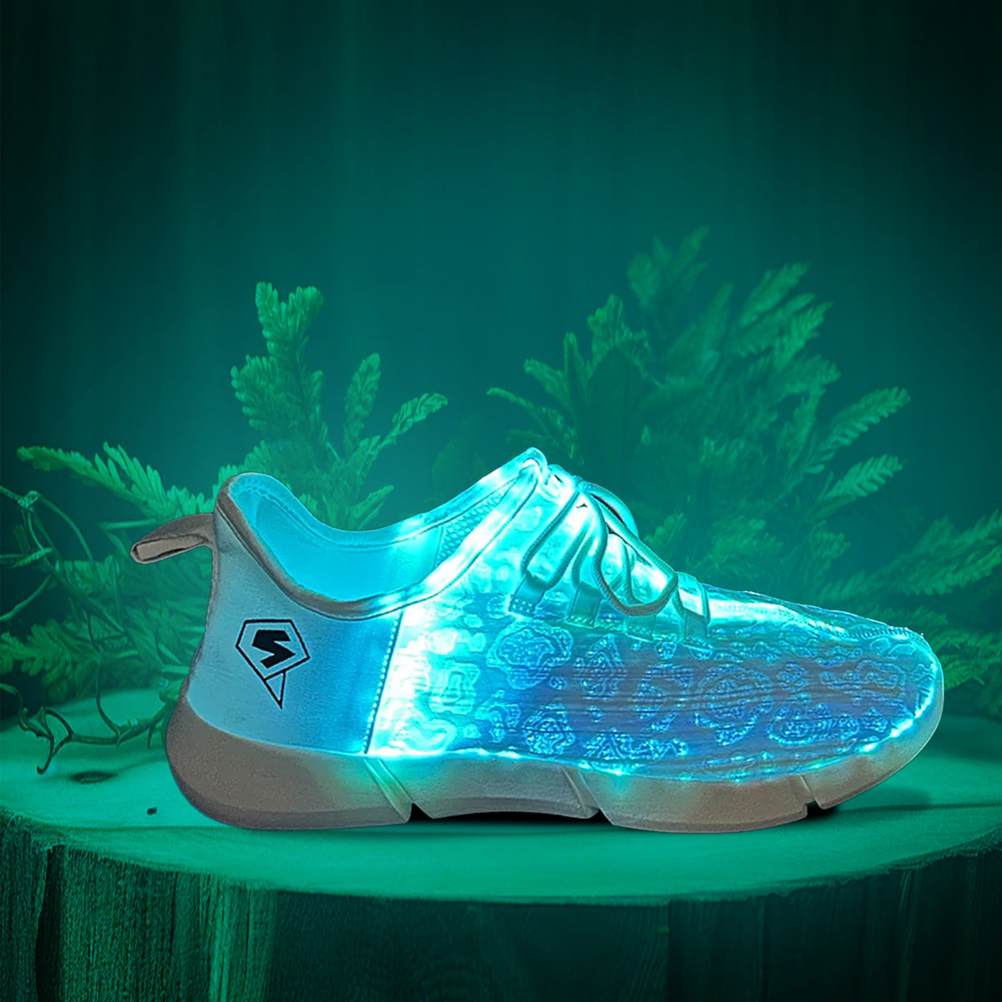 LED Shoes